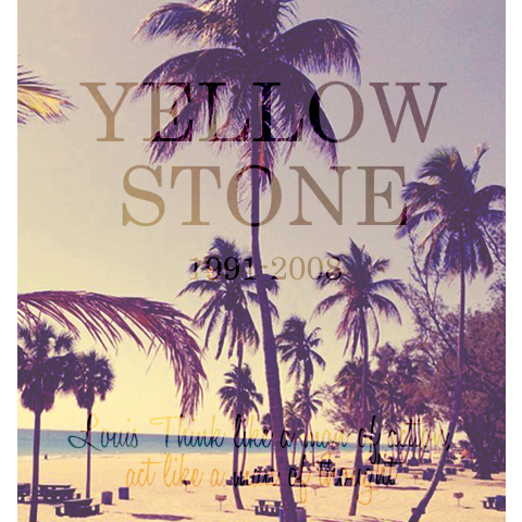 PALM YELLOW STONE