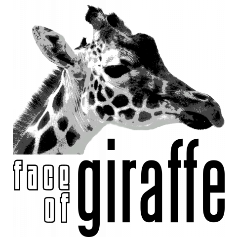 face of giraffe