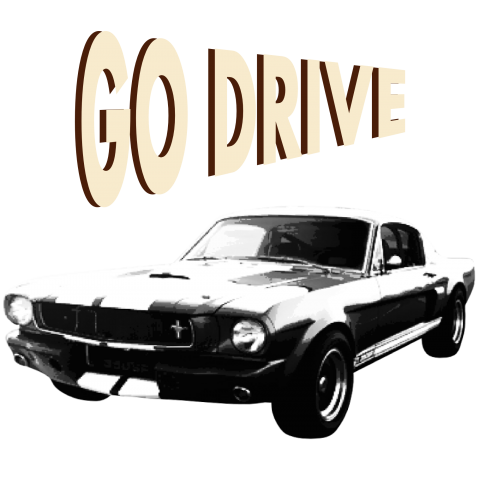 GO DRIVE