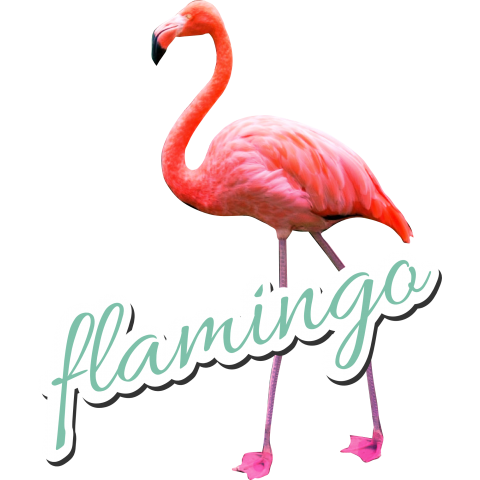 f​l​a​m​i​n​g​o​ ​#​2