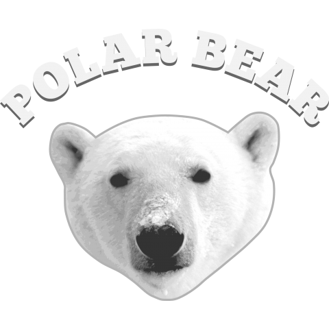 POLAR BEAR