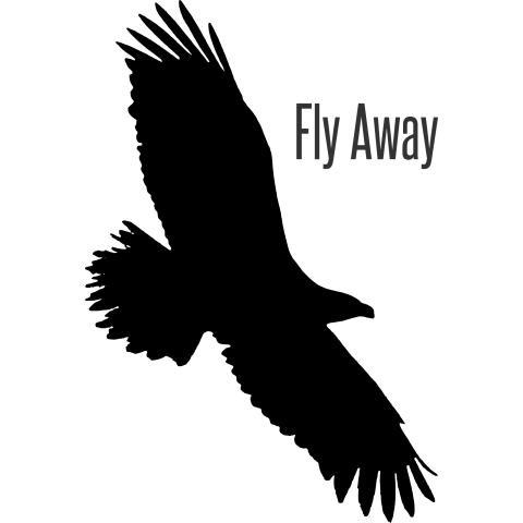 Fly Away