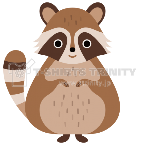 Raccoon