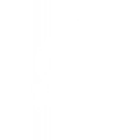 龍虎(両面white)