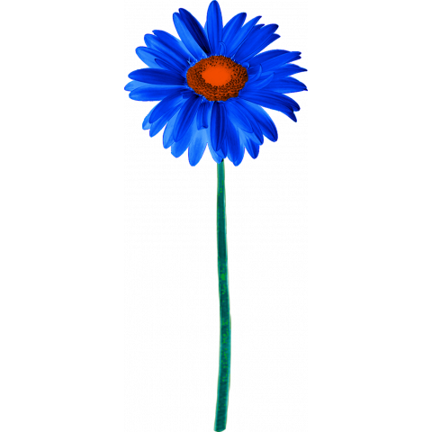 a blue flower