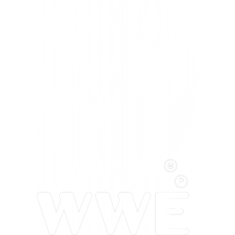 【​パ​ロ​デ​ィ​ー​商​品​】 WWE