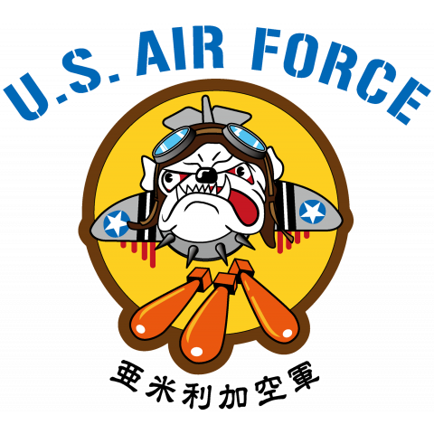 アメリカ空軍 スコードロンパッチ ブル
