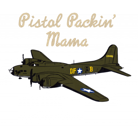 B-17 バックペイント