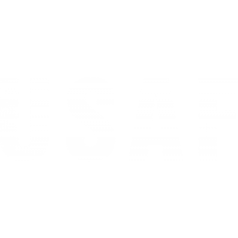 USAF アメリカ空軍 白抜き