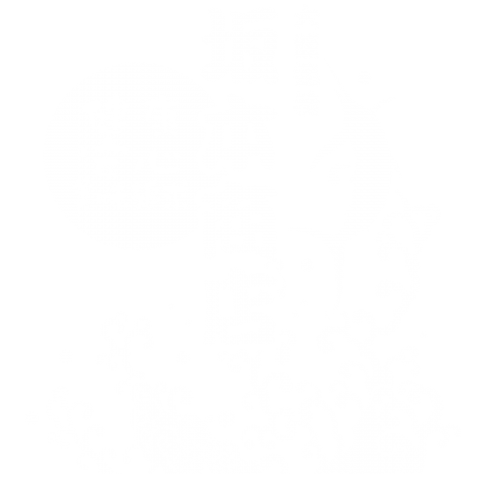 坂本商店(和シャチ)背中白抜き