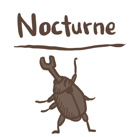 カブトNocturne2