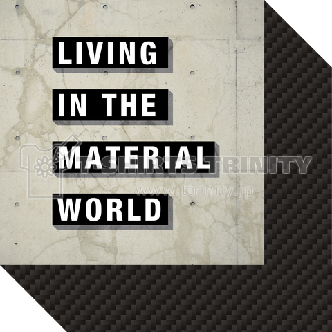 LIVING IN THE MATERIAL WORLD