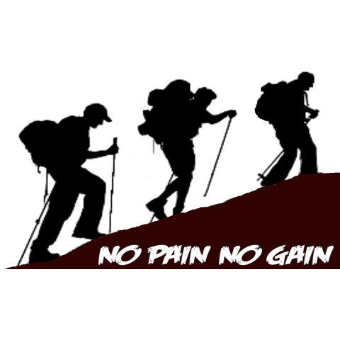 no pain no gain