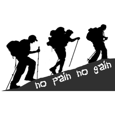 no pain no gain