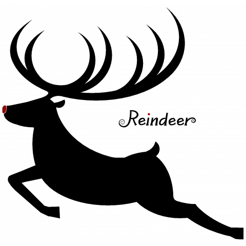 Reindeer