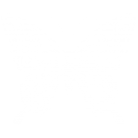 Butterfly white