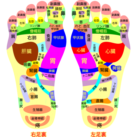 足ツボ(表:鏡映し用反転、裏:後の方見る用)