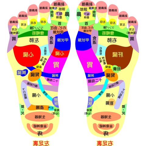 足ツボ(表:鏡映し用反転、裏:後の方見る用)