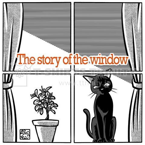 The story of the window