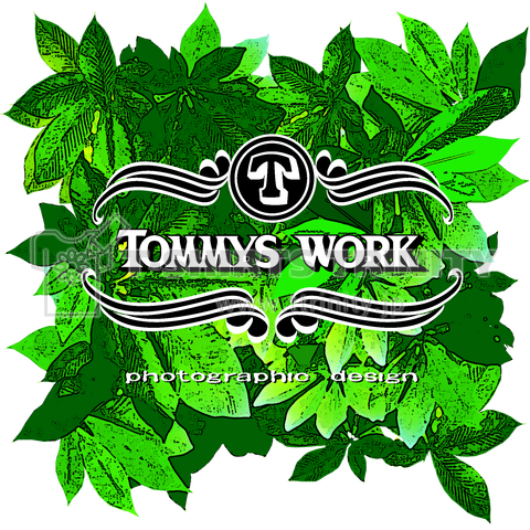 tommyswork rogo