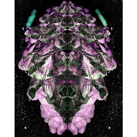 抽象画獣魔宇宙船