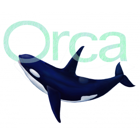 orca