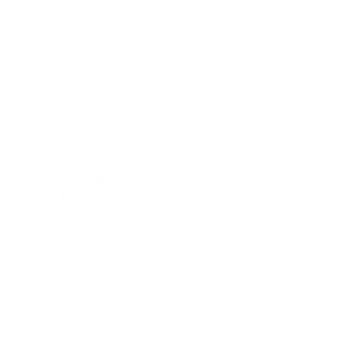 EVOLUTION ─ SNOWSCOOT