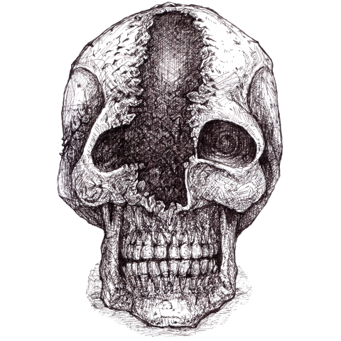 The skull of man feat.Sasakawa Tomoya