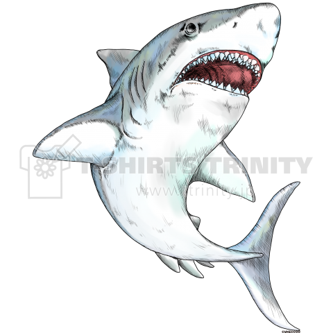 手描きシャーク サメ 水彩風 デザインtシャツ通販 Tシャツトリニティ