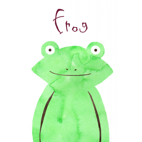 カエル frog