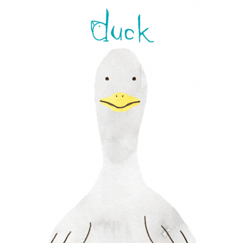 アヒル duck