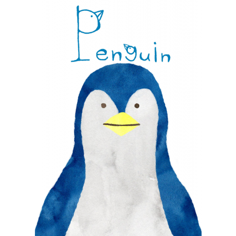 ペンギン Penguin