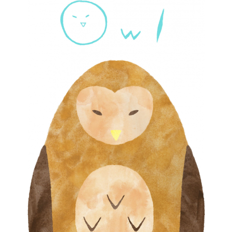 フクロウ owl