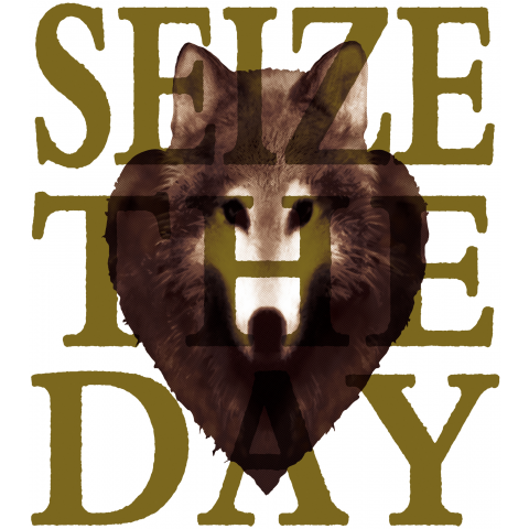 seize the day