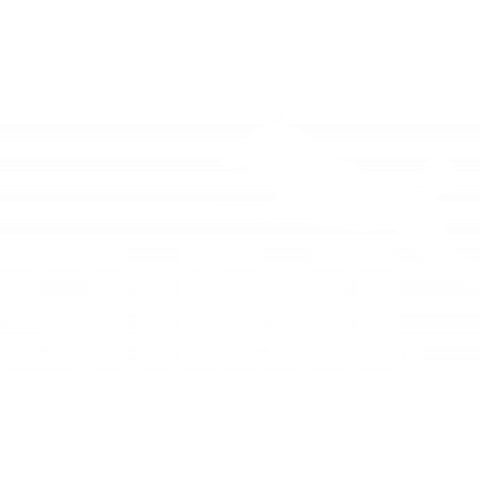 shiba 白