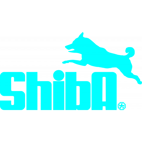 shiba 青空