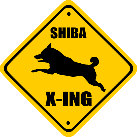 shiba X-ING 2012