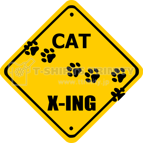 CAT X-ING