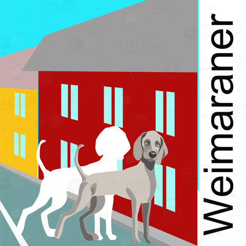 Weimaraner ワイマラナー