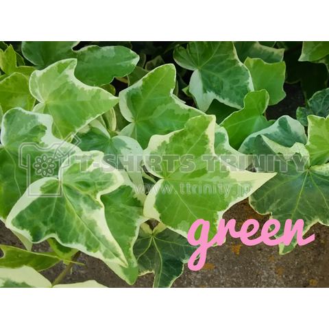 green(ピンク)