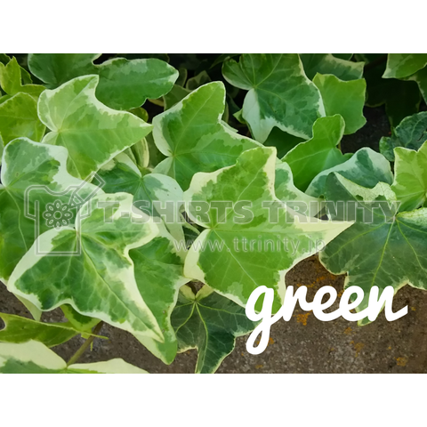 green(ホワイト)