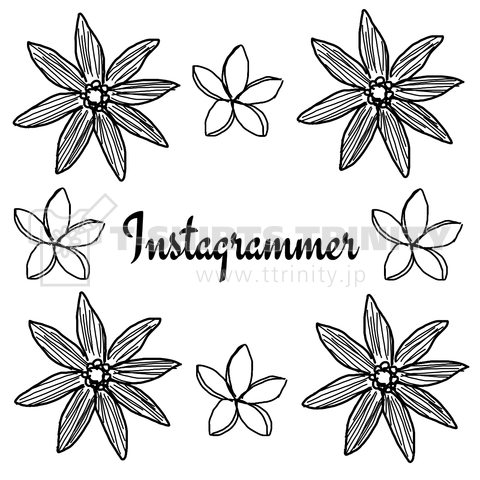 instagrammer