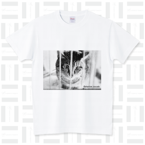 photoTシャツ 猫