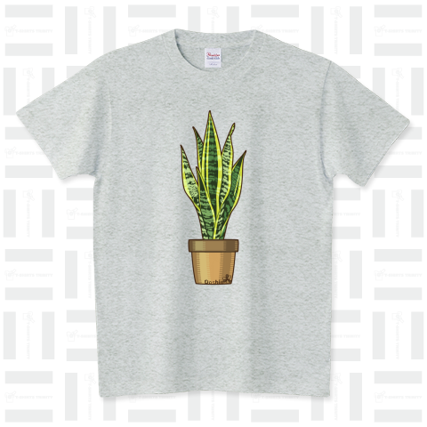 観葉植物(サンセベリア・ローレンティー) スタンダードTシャツ(5.6オンス)