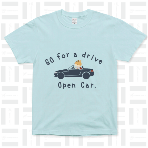 Open Car. go for a drive.