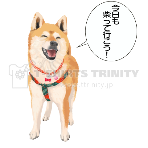 笑う柴犬 デザインtシャツ通販 Tシャツトリニティ