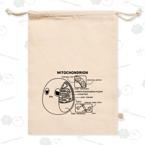 ミトコンドリア(前後)黒
