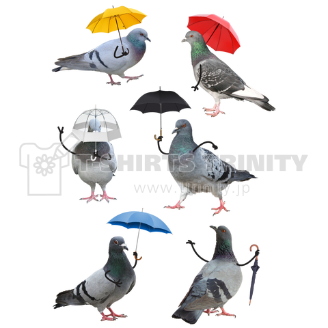 傘を持つ鳩達