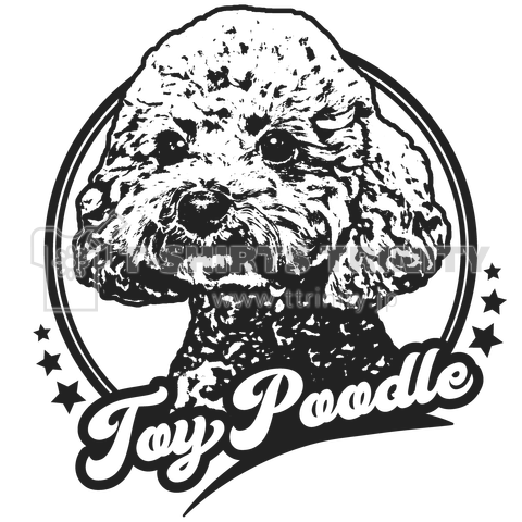 トイプードル (Toy Poodle) - 黒