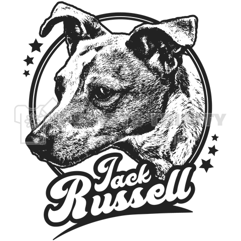 ジャック・ラッセル・テリア (Jack Russell Terrier) - 黒